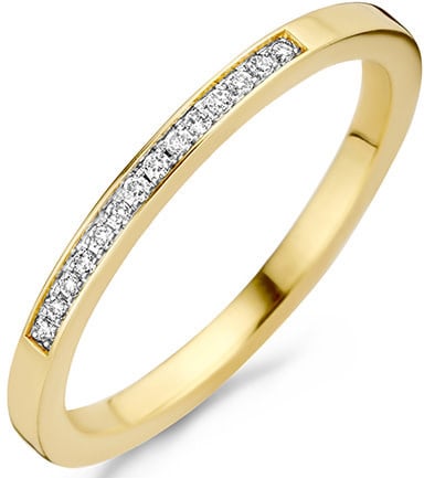 Blush Blush Ring 1630BDI/54 14k Geelgoud 0,06crt G SI Briljant geslepen Diamant Maat 54 Goud