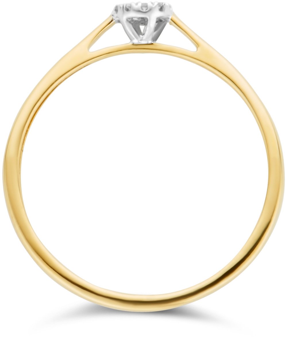 Blush Blush Ring 1646BDI/54 14k Geelgoud 0,04crt G SI Briljant geslepen Diamant Maat 54 Goud