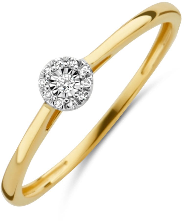 Blush Blush Ring 1646BDI/54 14k Geelgoud 0,04crt G SI Briljant geslepen Diamant Maat 54 Goud