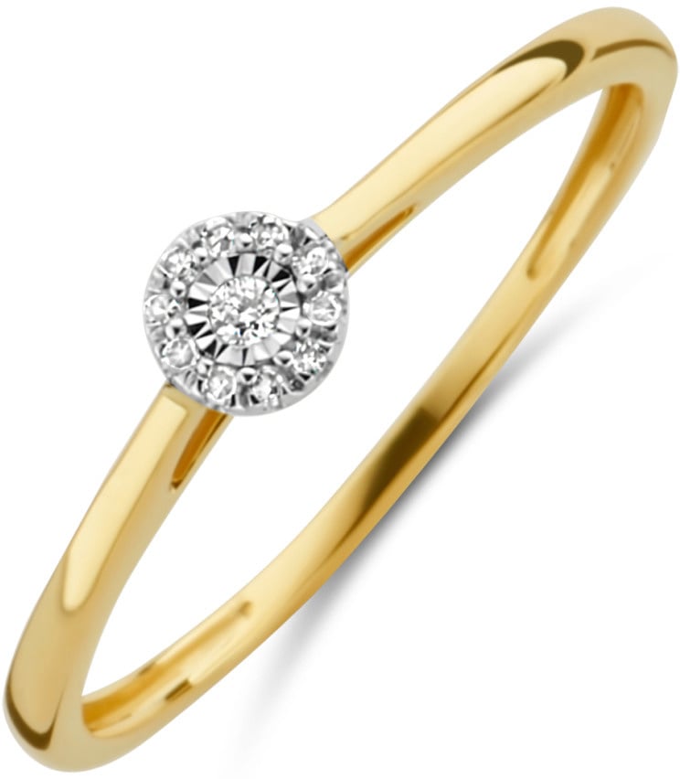 Blush Blush Ring 1646BDI/54 14k Geelgoud 0,04crt G SI Briljant geslepen Diamant Maat 54 Goud