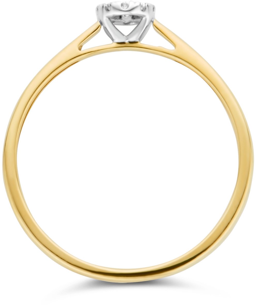 Blush Blush Ring 1647BDI/54 14k Geelgoud 0,07crt G SI Briljant geslepen Diamant Maat 54 Goud