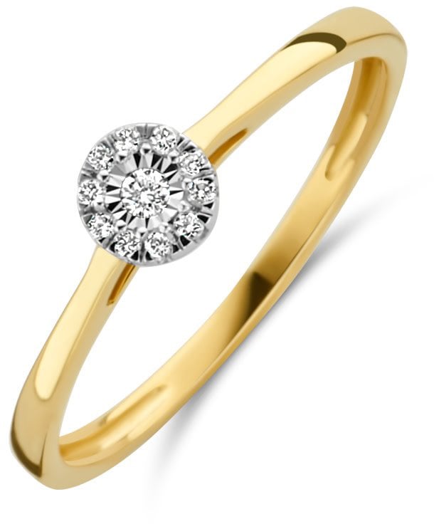 Blush Blush Ring 1647BDI/54 14k Geelgoud 0,07crt G SI Briljant geslepen Diamant Maat 54 Goud