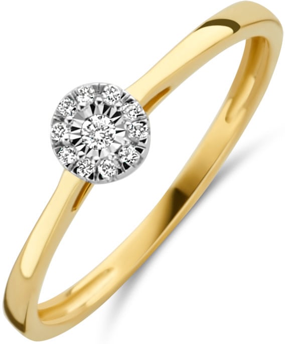 Blush Blush Ring 1647BDI/54 14k Geelgoud 0,07crt G SI Briljant geslepen Diamant Maat 54 Goud