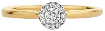 Blush Blush Ring 1648BDI/54 14k Geelgoud 0,15crt G SI Briljant geslepen Diamant Maat 54 Divers