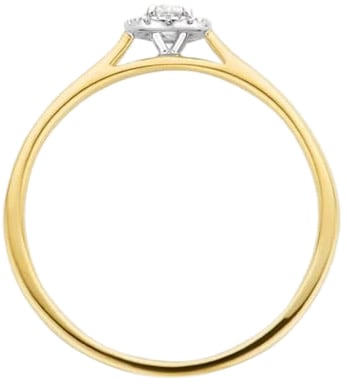 Blush Blush Ring 1648BDI/54 14k Geelgoud 0,15crt G SI Briljant geslepen Diamant Maat 54 Divers
