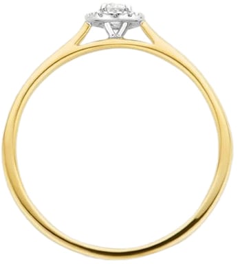 Blush Blush Ring 1648BDI/54 14k Geelgoud 0,15crt G SI Briljant geslepen Diamant Maat 54 Goud