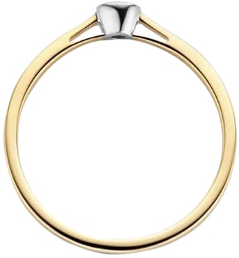 Blush Blush Ring 1653BDI/54 14kt Geelgoud 0,06crt G SI Briljant geslepen Diamant Maat 54 Divers