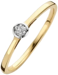 Blush Blush Ring 1653BDI/54 14kt Geelgoud 0,06crt G SI Briljant geslepen Diamant Maat 54 Divers