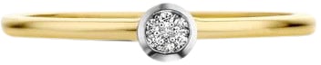 Blush Blush Ring 1653BDI/54 14kt Geelgoud 0,06crt G SI Briljant geslepen Diamant Maat 54 Divers