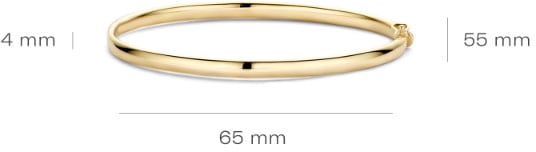 Blush Blush Armband 2155YGO Bangle 14k Geelgoud 4mm Maat 60 Goud