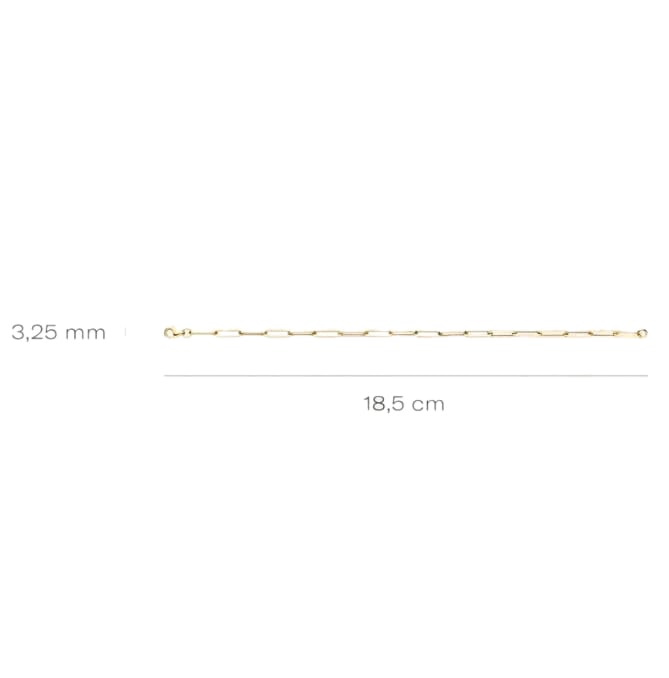 Blush Blush Armband 2190YGO 14k Geelgoud Closed Forever Schakel 3,25mm x 18.5cm Goud