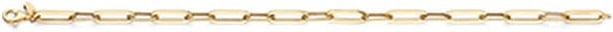 Blush Blush Armband 2229YGO 14k Geelgoud Forever closed Schakel 18.5cm Divers