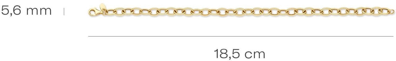 Blush Blush Armband 2255YGO 14k Geelgoud Schakel 18cm Goud