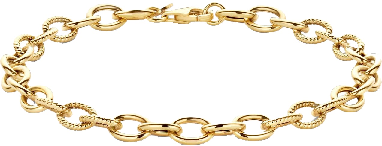 Blush Blush Armband 2255YGO 14k Geelgoud Schakel 18cm Divers