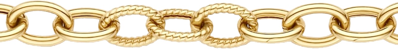 Blush Blush Armband 2255YGO 14k Geelgoud Schakel 18cm Divers
