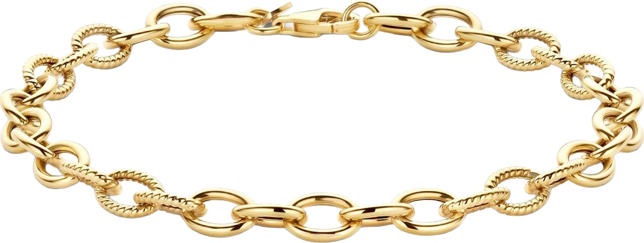Blush Blush Armband 2255YGO 14k Geelgoud Schakel 18cm Goud