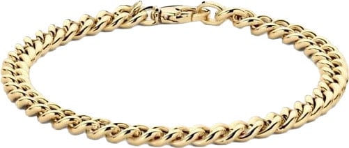 Blush Armband 2262YGO 14k Geelgoud Gourmette Schakel 5.3mm x 18.5cm Goud