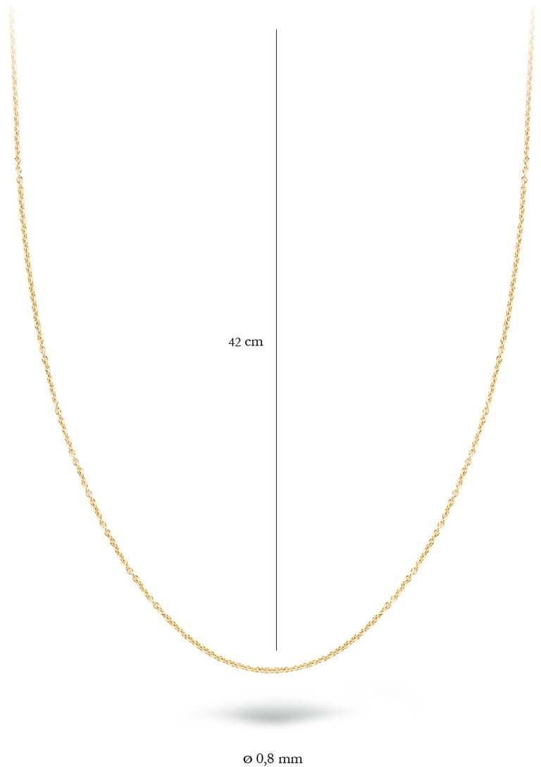 Blush 3058YGO/42 Collier 14 krt geelgoud 42 cm Divers