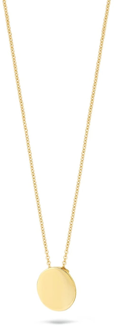 Blush Blush Collier met Hanger 3080YGO 14k Geelgoud Rond 42cm Goud