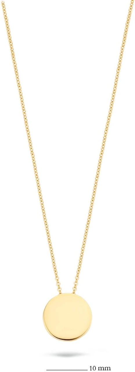 Blush Blush Collier met Hanger 3080YGO 14k Geelgoud Rond 42cm Goud