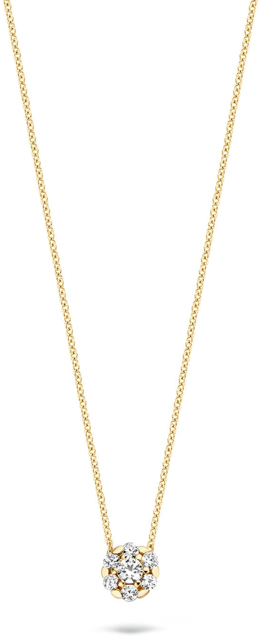 Blush Blush Collier met Hanger 3097YZI  14k Geelgoud met Briljant geslepen Zirkonia 42cm Divers