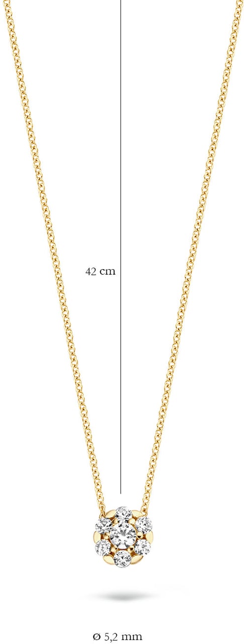 Blush Blush Collier met Hanger 3097YZI  14k Geelgoud met Briljant geslepen Zirkonia 42cm Divers