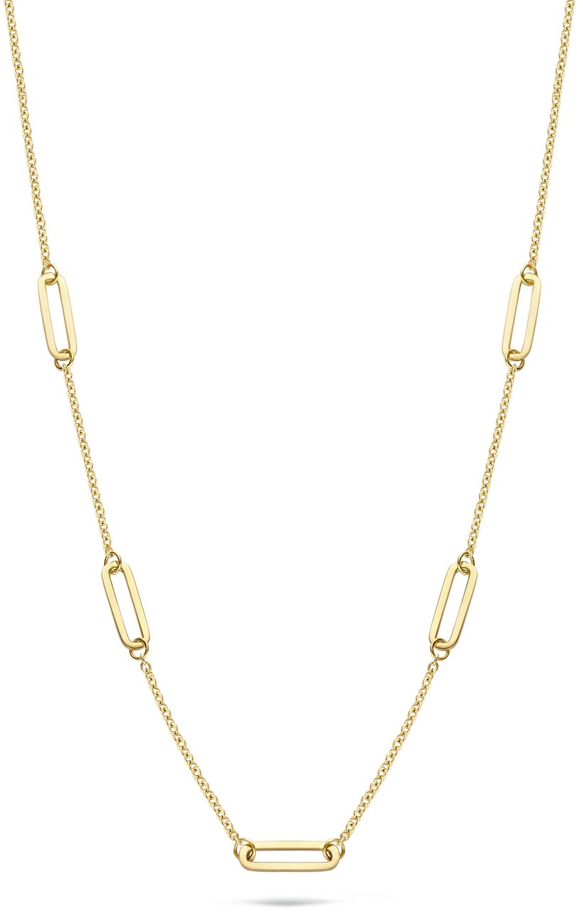 Blush Blush Collier 3102YGO 14k Geelgoud met Closed Forever Elementen 45cm Divers