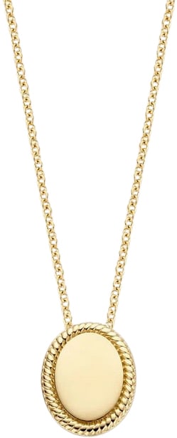 Blush Blush Collier 3123YGO 14 k Geelgoud  met Ovale Gladde Hanger 42cm Goud