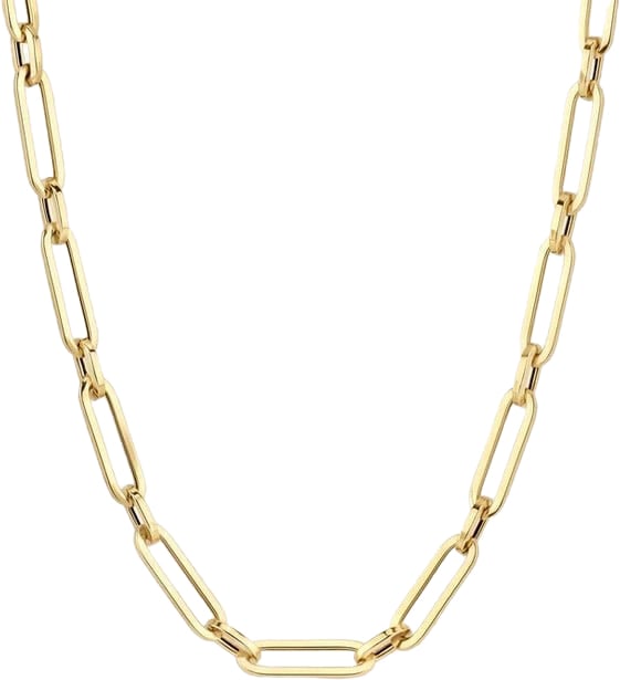Blush Blush Collier 3129YGO 14k Geelgoud Closed Forever 45cm Divers