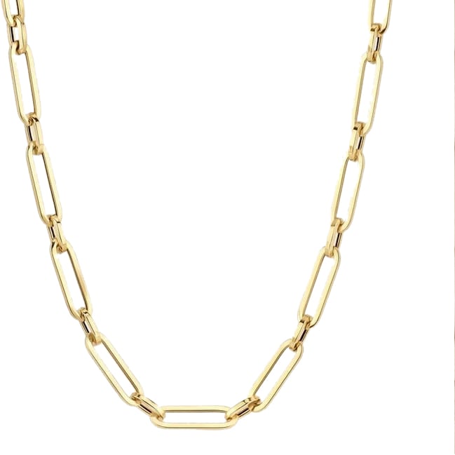 Blush Blush Collier 3129YGO 14k Geelgoud Closed Forever 45cm Divers