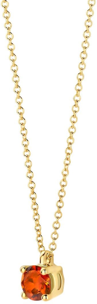 Blush Blush Collier 3200YCI November 14k Geelgoud met Madeira Citrien 42cm Divers