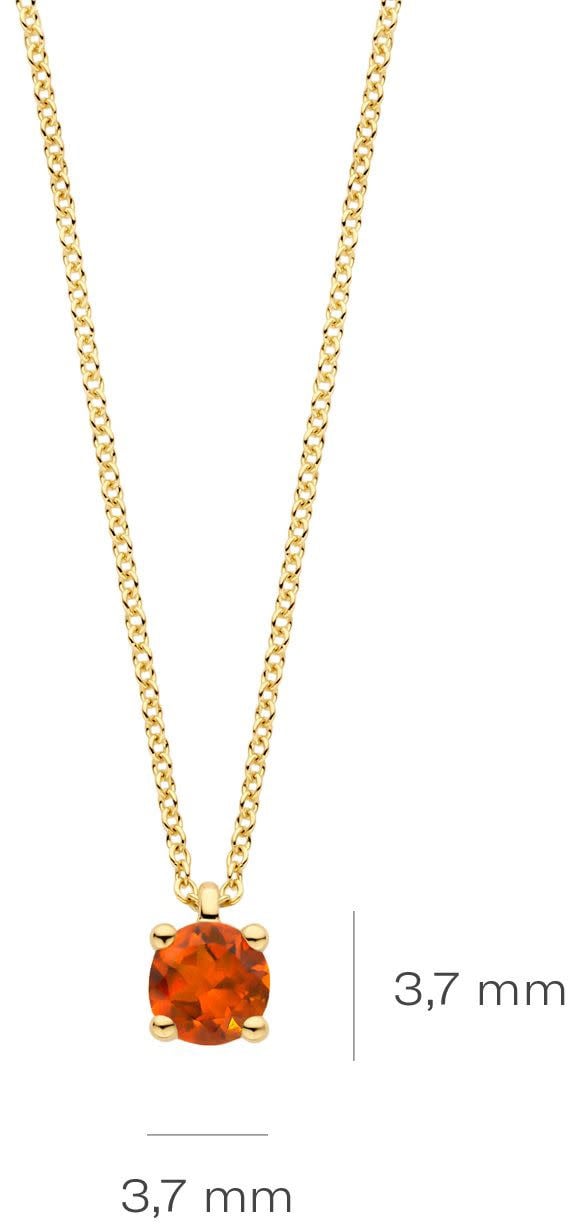 Blush Blush Collier 3200YCI November 14k Geelgoud met Madeira Citrien 42cm Divers