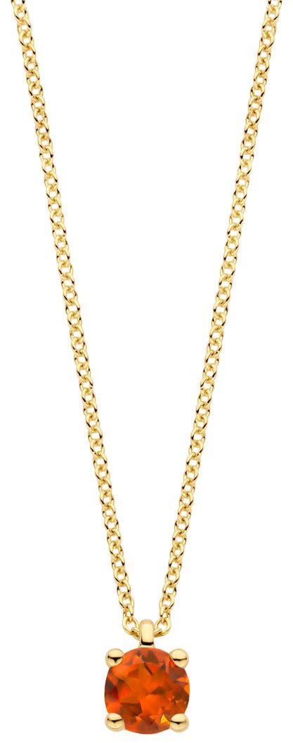 Blush Blush Collier 3200YCI November 14k Geelgoud met Madeira Citrien 42cm Divers