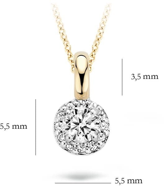 Blush 6064BZI Hanger 14 krt geelgoud met zirkonia Divers