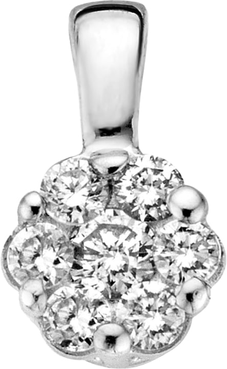 Blush Blush Hanger 6604WDI 14k Witgoud 0.11crt G SI Briljant geslepen Diamant Zilver
