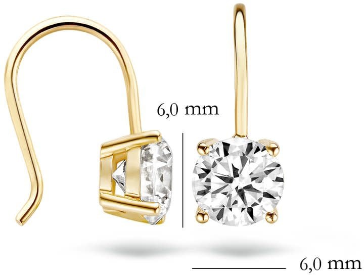 Blush 7055YZI Oorbellen 14 krt geelgoud met zirkonia Divers