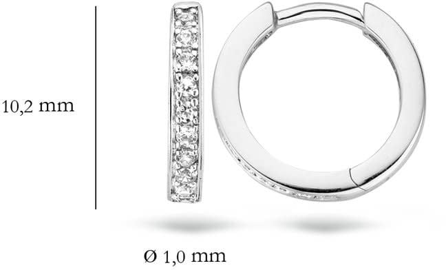 Blush 7129WZI Oorbellen 14 krt witgoud met zirkonia Divers