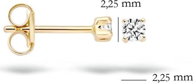 Blush 7138YZI Oorbellen 14 krt geelgoud met zirkonia Goud