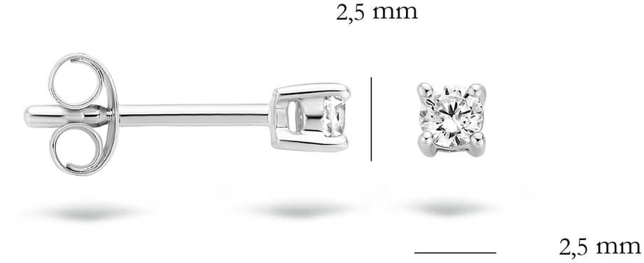 Blush 7211WZI Oorbellen 14 krt witgoud met zirkonia Zilver