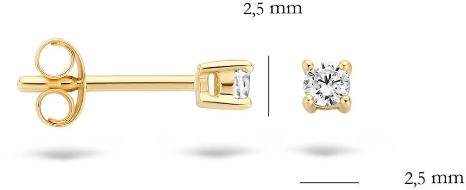 Blush 7211YZI Oorbellen 14 krt geelgoud met zirkonia Divers