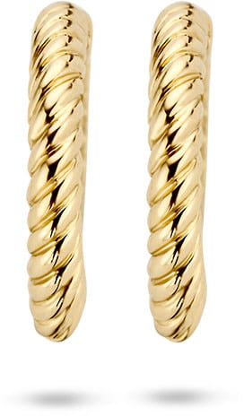 Blush 7231YGO Oorbellen creolen 14 krt Goud Goud