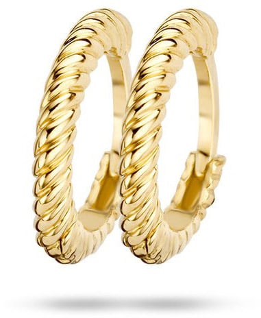 Blush 7231YGO Oorbellen creolen 14 krt Goud Goud