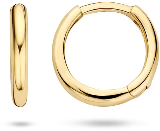 Blush Blush Oorbellen 7232YGO Oorringen 14k Geelgoud Glad Divers