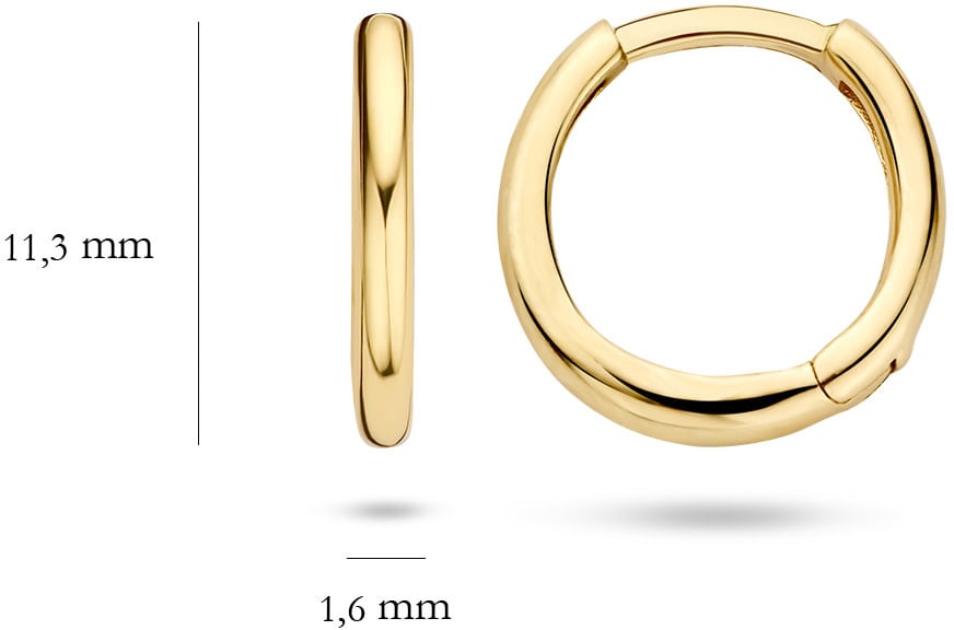 Blush Blush Oorbellen 7233YGO Oorringen 14k Geelgoud Glad Goud