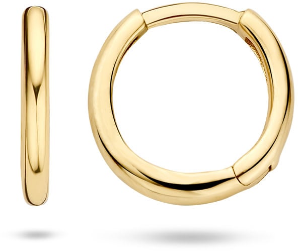 Blush Blush Oorbellen 7233YGO Oorringen 14k Geelgoud Glad Goud