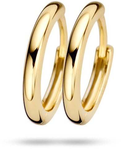 Blush Blush Oorbellen 7233YGO Oorringen 14k Geelgoud Glad Goud