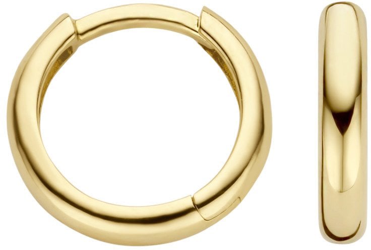 Blush Blush Oorbellen 7267YGO 14k Geelgoud Glad Divers
