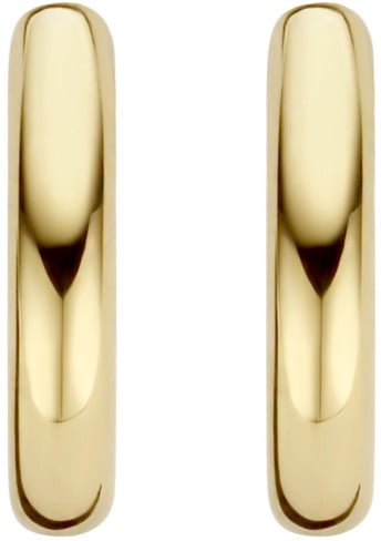 Blush Blush Oorbellen 7267YGO 14k Geelgoud Glad Divers