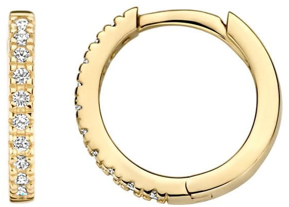 Blush Blush Oorbellen 7307YZI 14k Geelgoud Oorringen Gezet met Zirkonia 1.5mm x 11,5mm Divers