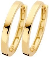 Blush Blush Oorbellen 7308YGO 14k Geelgoud Vlak 1.5mm x 14mm Divers